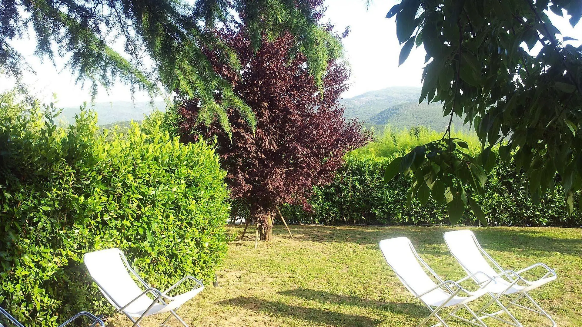 B&B Villa La Perla Lucca Bed & Breakfast